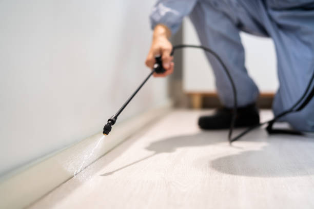 Licensed Pest Control service in McLoud, OK - Show Me Pest Control