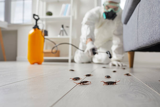 Commercial Kitchen Cockroach Control in McLoud